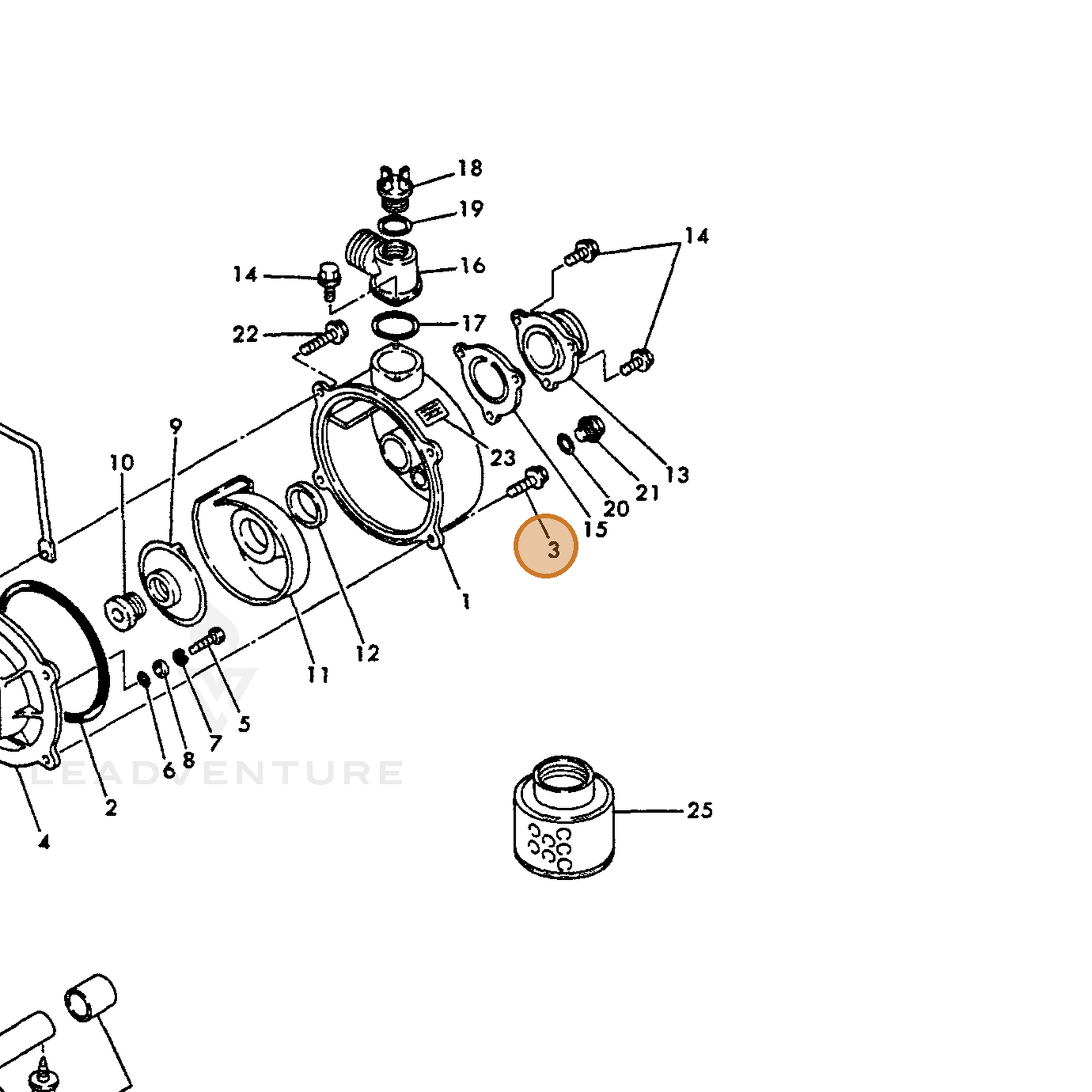 ECHO part Y16066495610 — IPL diagram snippet (6x zoom, amber highlight)
