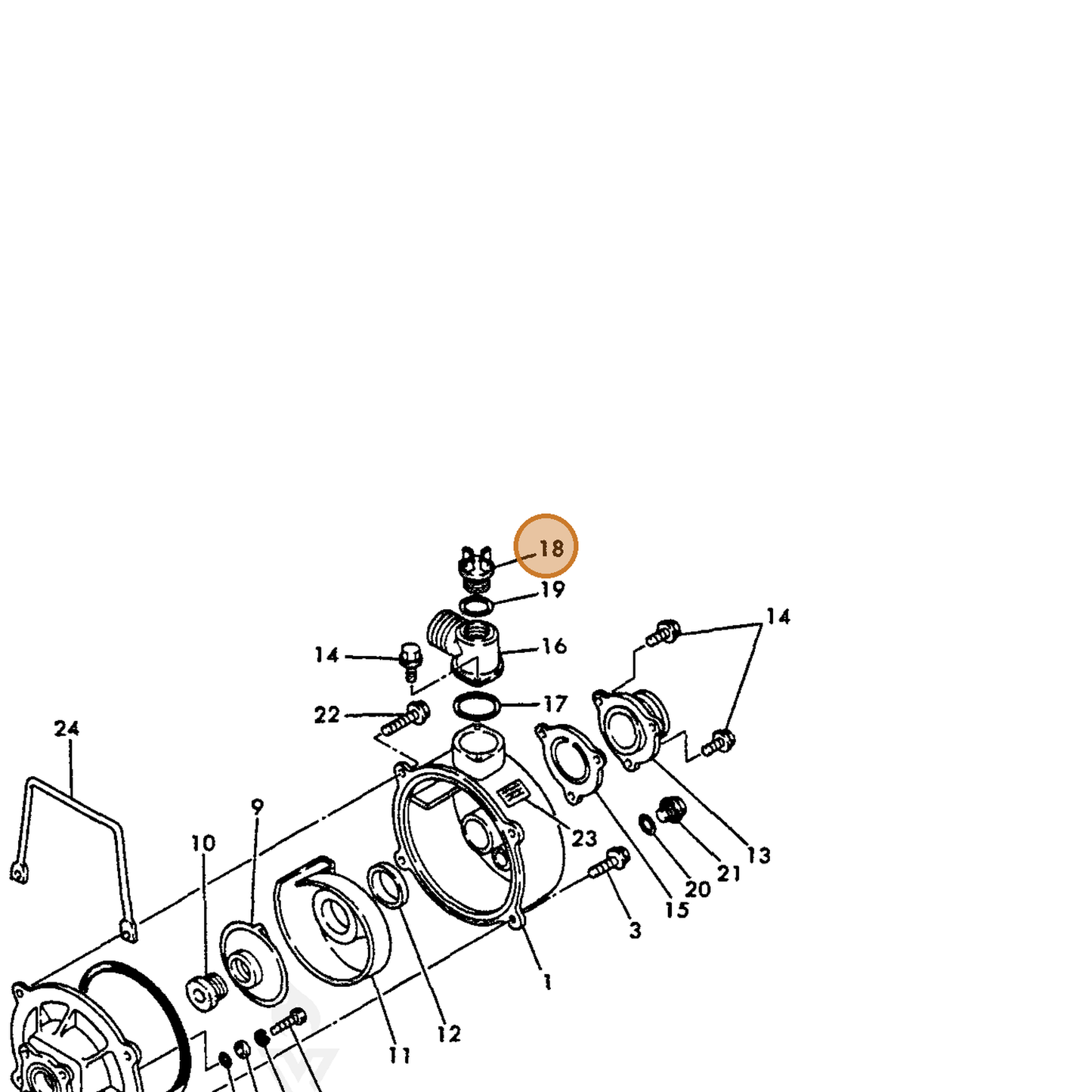 ECHO part Y16066495660 — IPL diagram snippet (6x zoom, amber highlight)