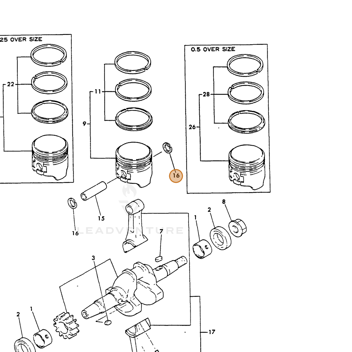 ECHO part Y22252000100 — IPL diagram snippet (6x zoom, amber highlight)