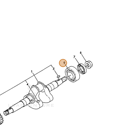ECHO part Y24101062040 — IPL diagram snippet (6x zoom, amber highlight)