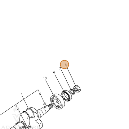 ECHO part Y26736160002 — IPL diagram snippet (6x zoom, amber highlight)