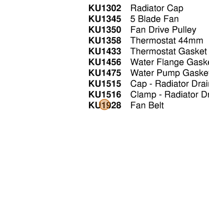 Grasshopper part KU1928 — IPL diagram snippet (6x zoom, amber highlight)
