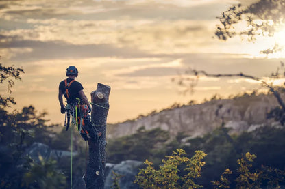 Husqvarna Forest & Garden - 970510012 - T540 XP Mark III Chainsaw, 12"