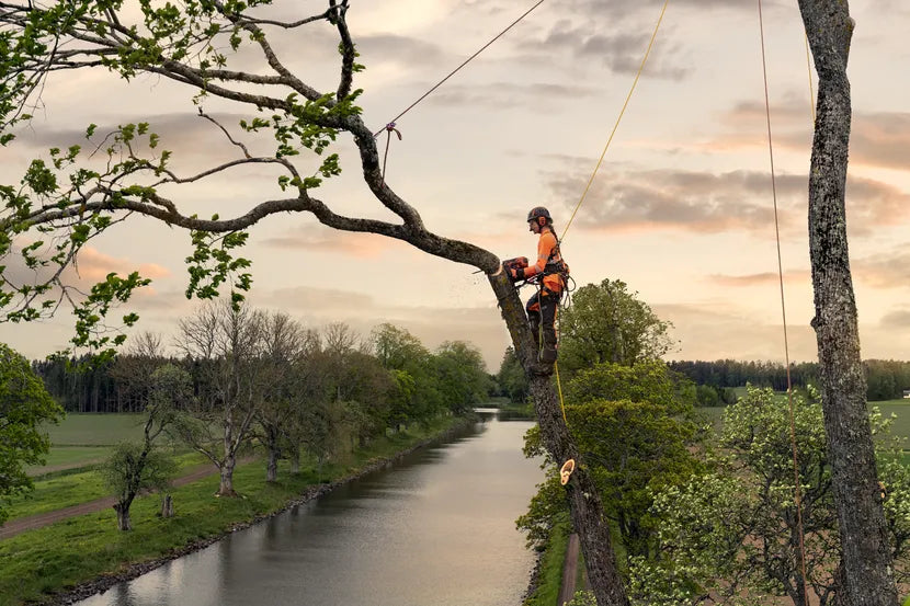 Husqvarna Forest & Garden - 970510012 - T540 XP Mark III Chainsaw, 12"