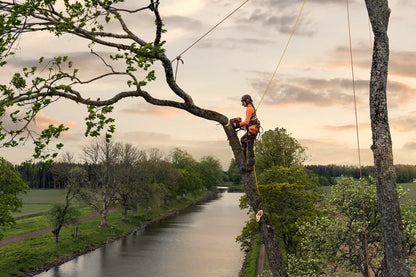 Husqvarna Forest & Garden - 970510012 - T540 XP Mark III Chainsaw, 12"