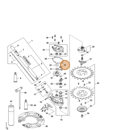 STIHL part 0000-995-0807 — IPL diagram snippet (6x zoom, amber highlight)