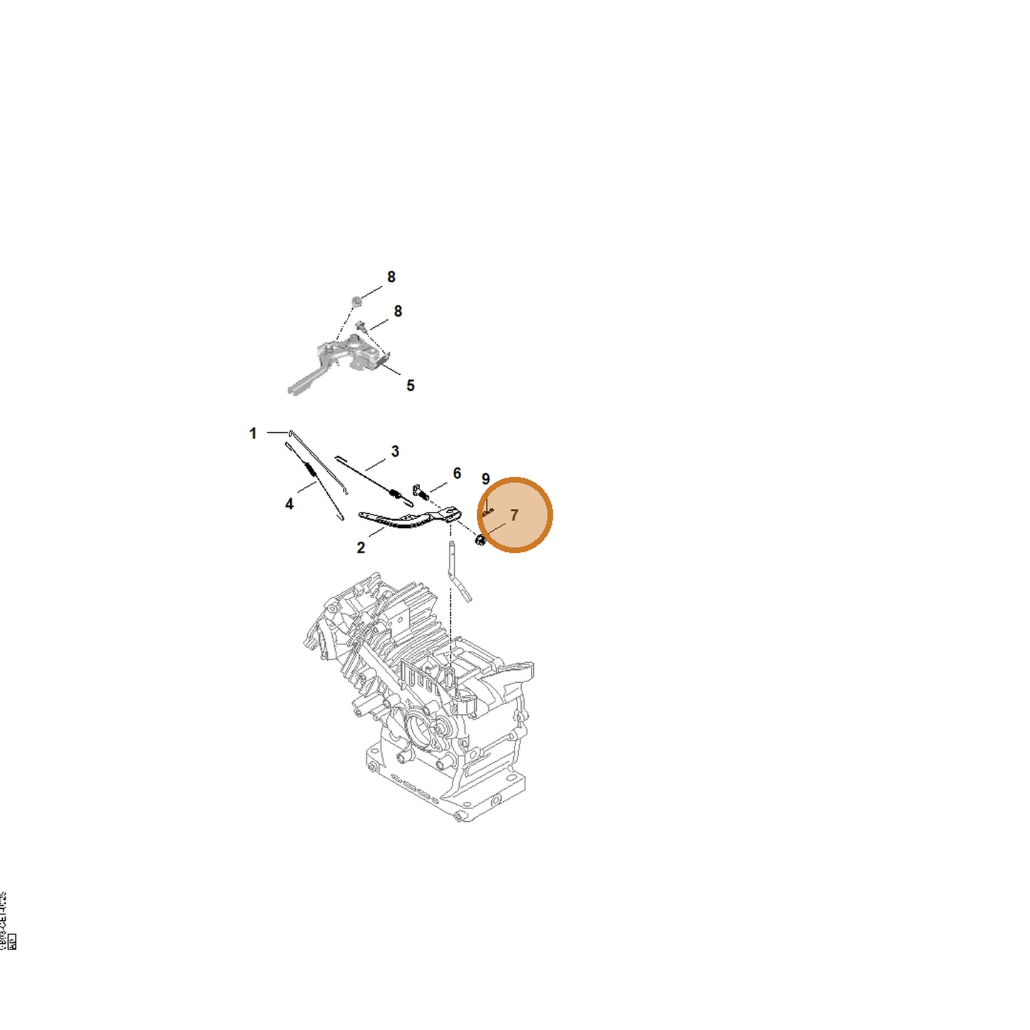 STIHL part 0004-955-0800 — IPL diagram snippet (6x zoom, amber highlight)