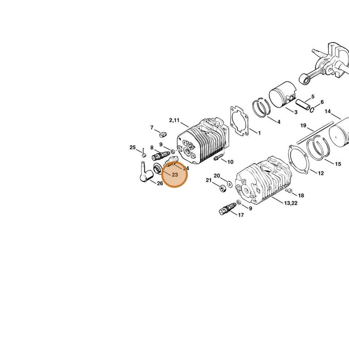 STIHL part 4205-084-1600 — IPL diagram snippet (6x zoom, amber highlight)