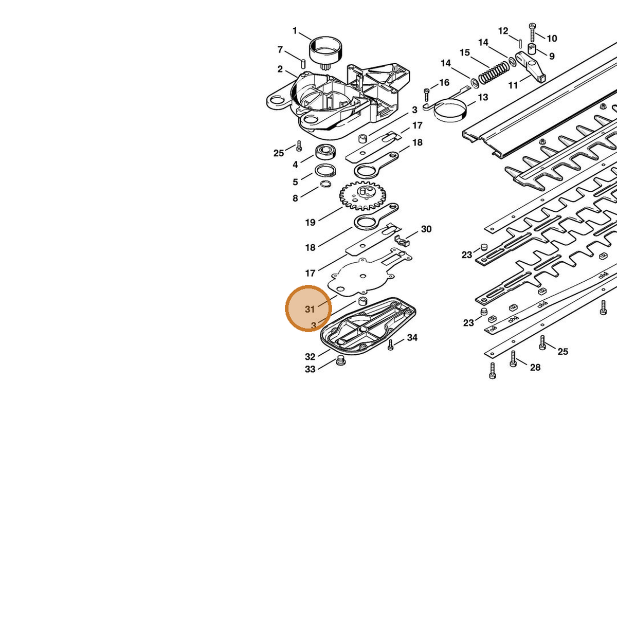 STIHL part 4226-649-0300 — IPL diagram snippet (6x zoom, amber highlight)