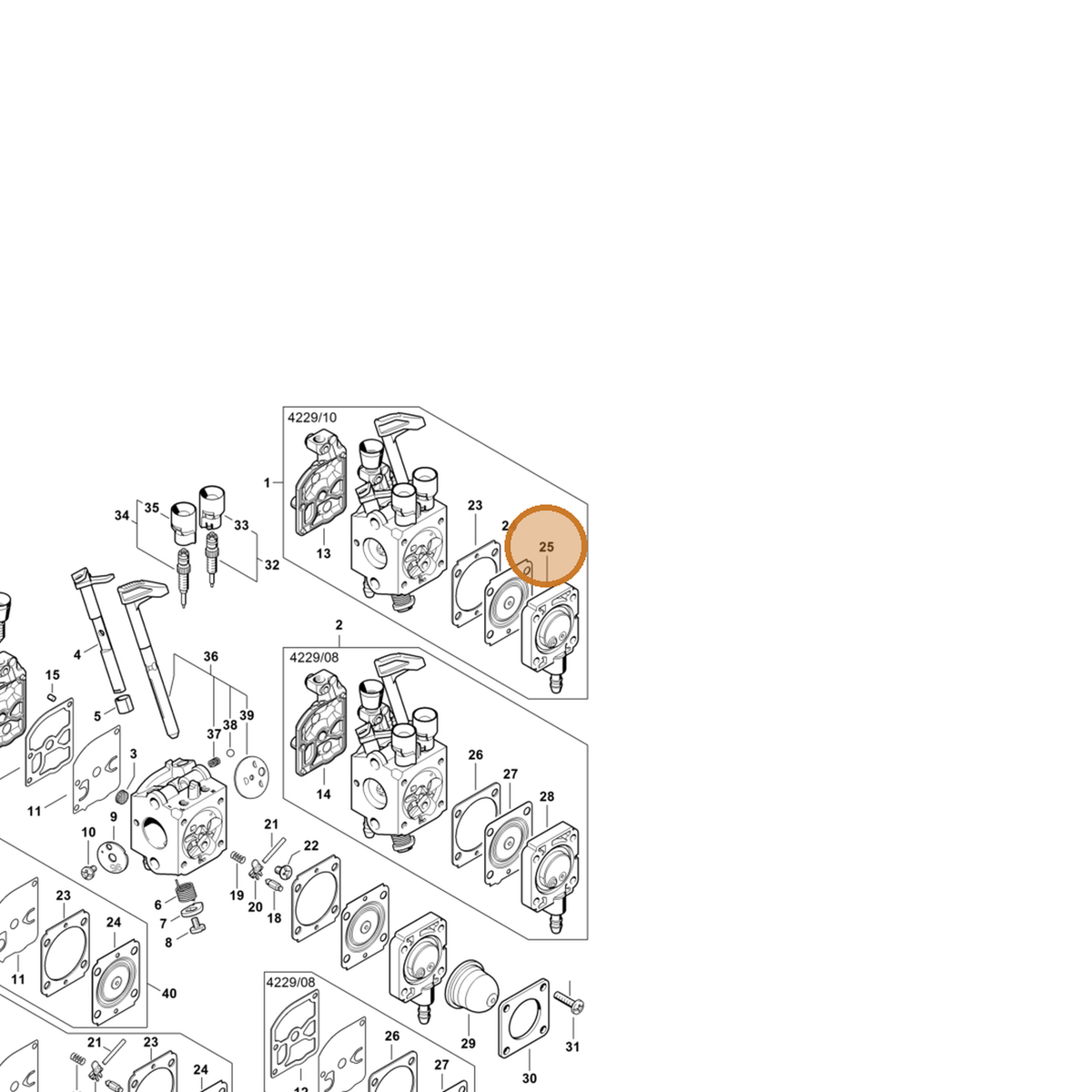 STIHL part 4229-120-2207 — IPL diagram snippet (6x zoom, amber highlight)
