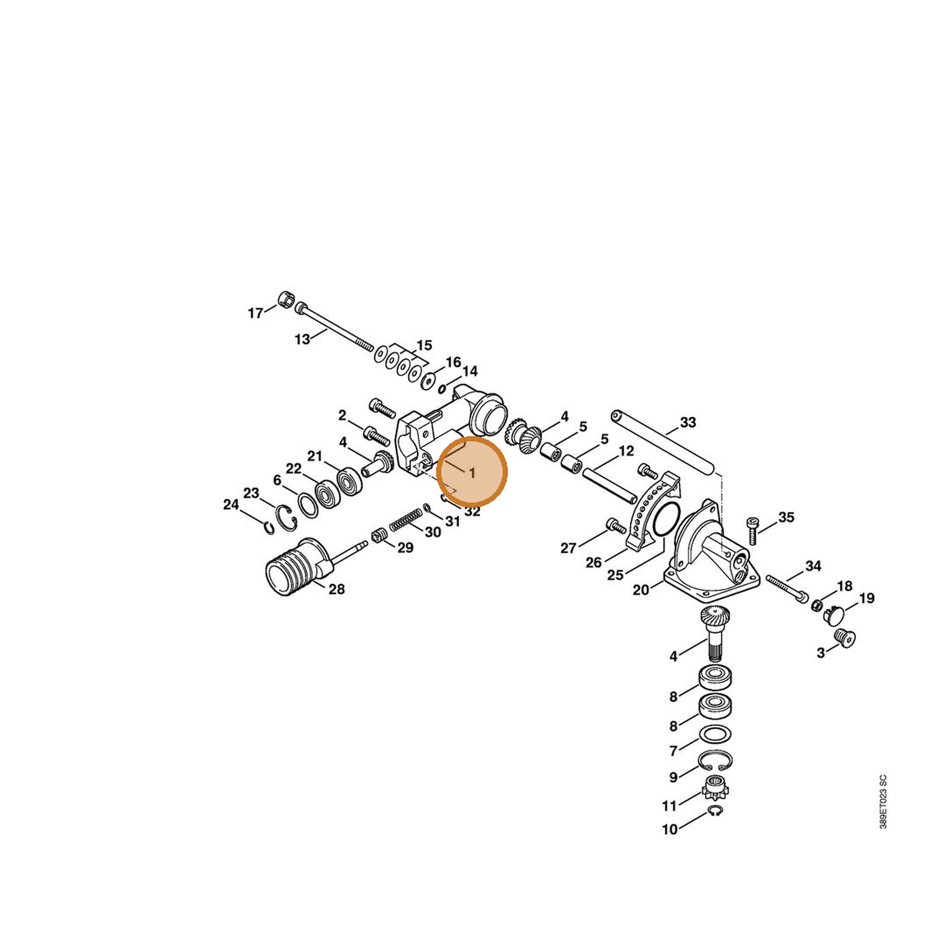 STIHL part 4230-640-0558 — IPL diagram snippet (6x zoom, amber highlight)