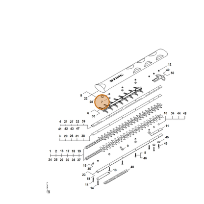 STIHL part 4237-716-3600 — IPL diagram snippet (6x zoom, amber highlight)