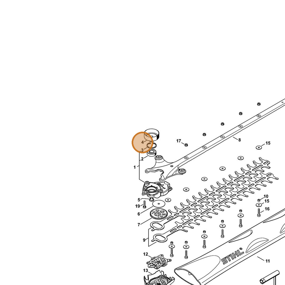 STIHL part 4242-160-2900 — IPL diagram snippet (6x zoom, amber highlight)