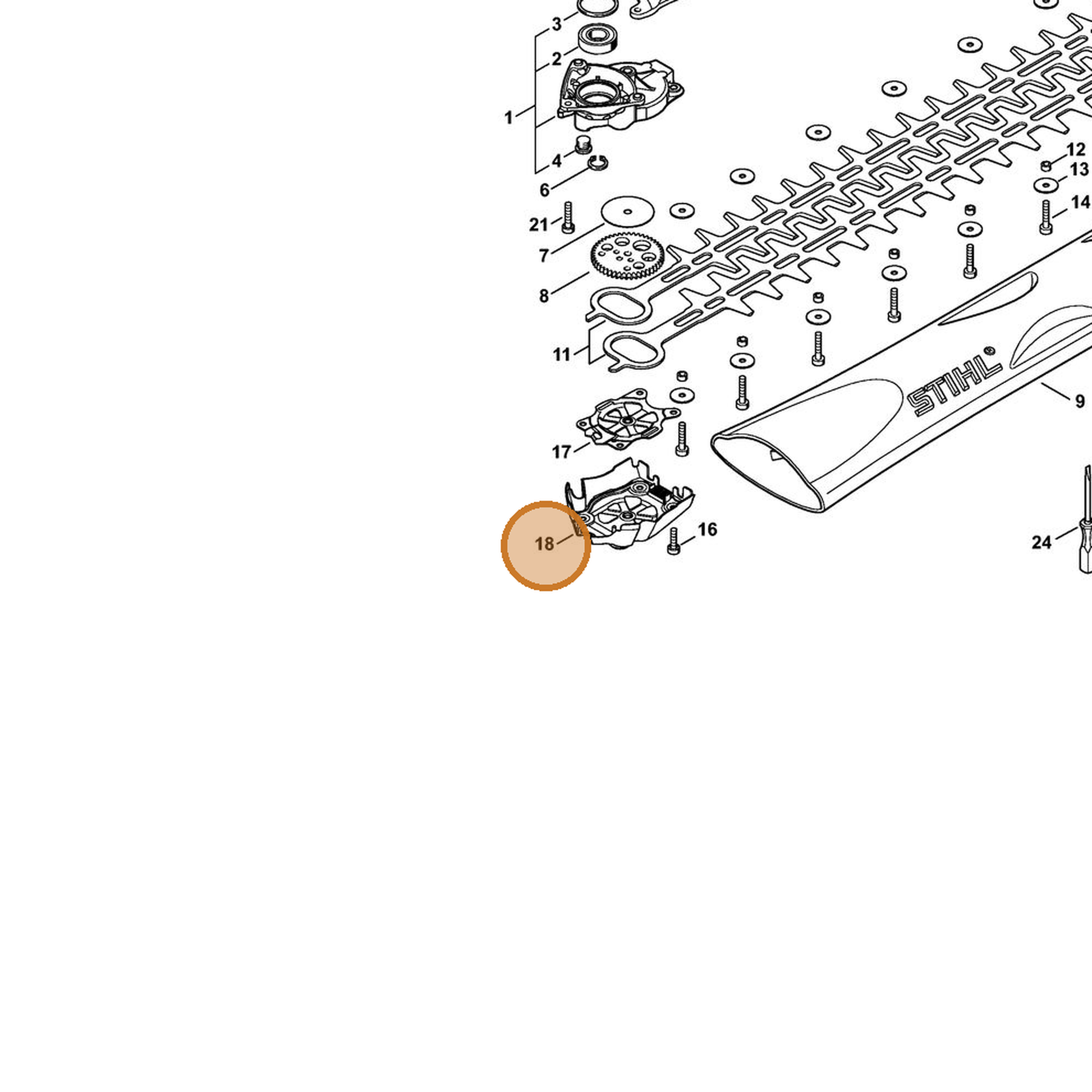 STIHL part 4242-640-5805 — IPL diagram snippet (6x zoom, amber highlight)