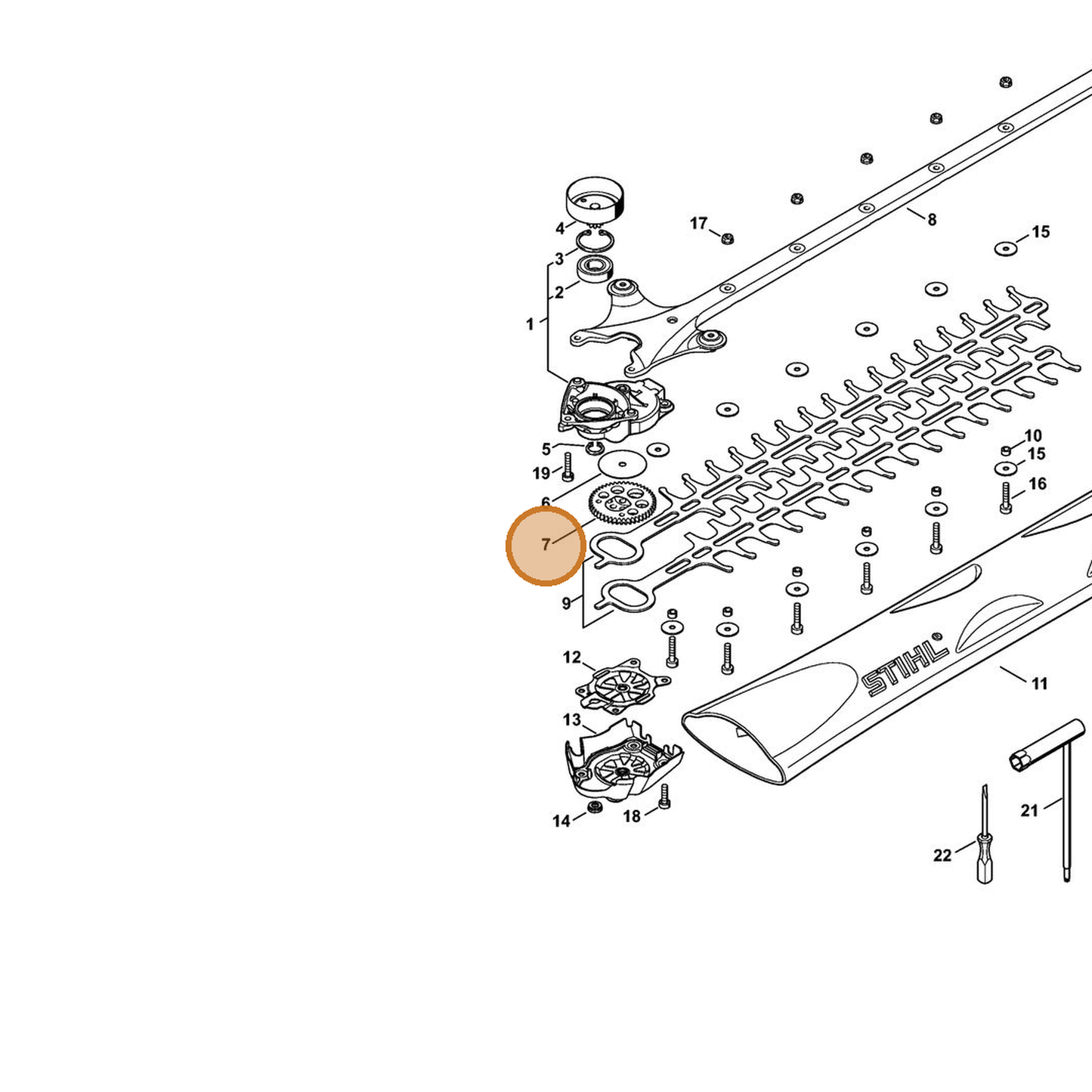 STIHL part 4242-640-7501 — IPL diagram snippet (6x zoom, amber highlight)