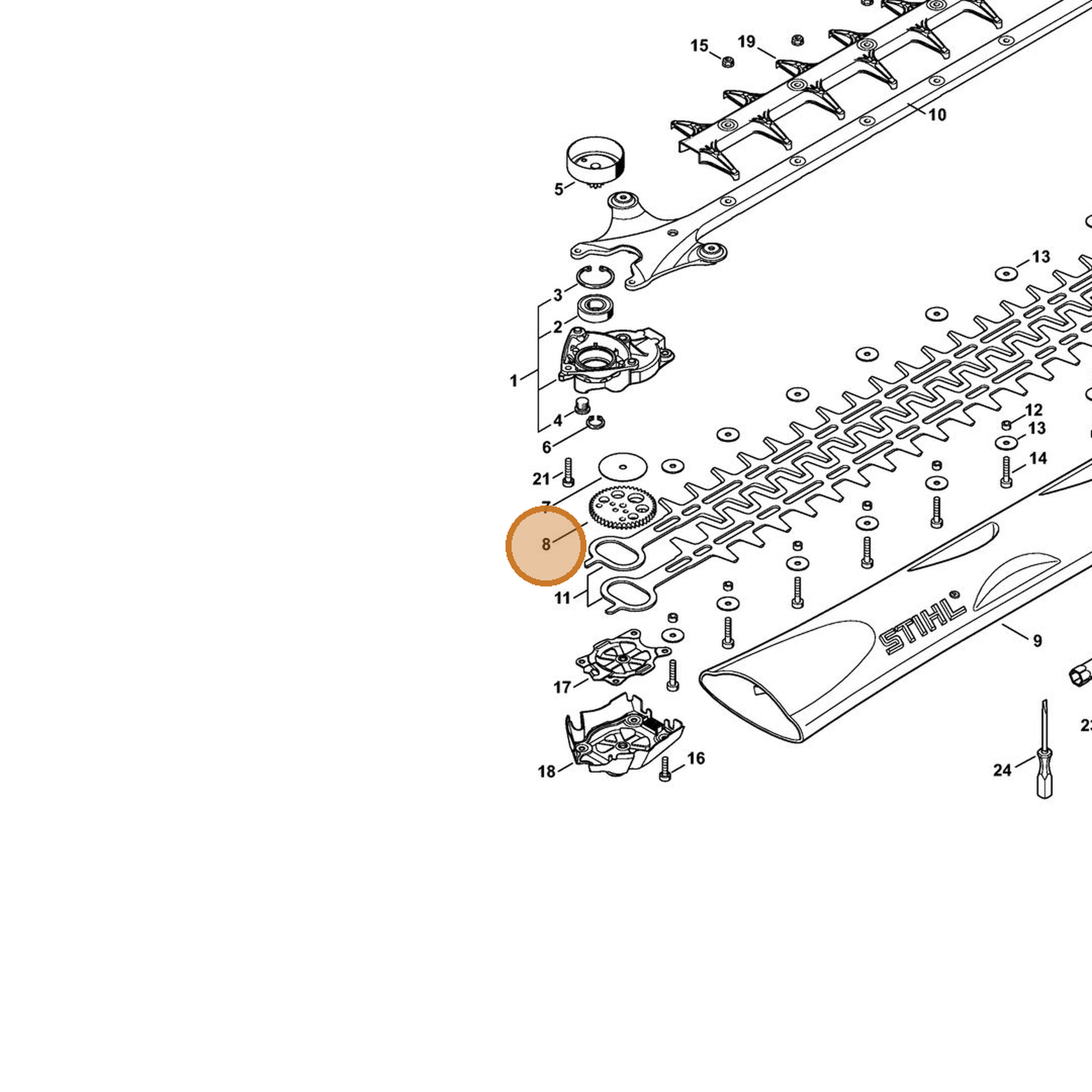STIHL part 4242-640-7507 — IPL diagram snippet (6x zoom, amber highlight)