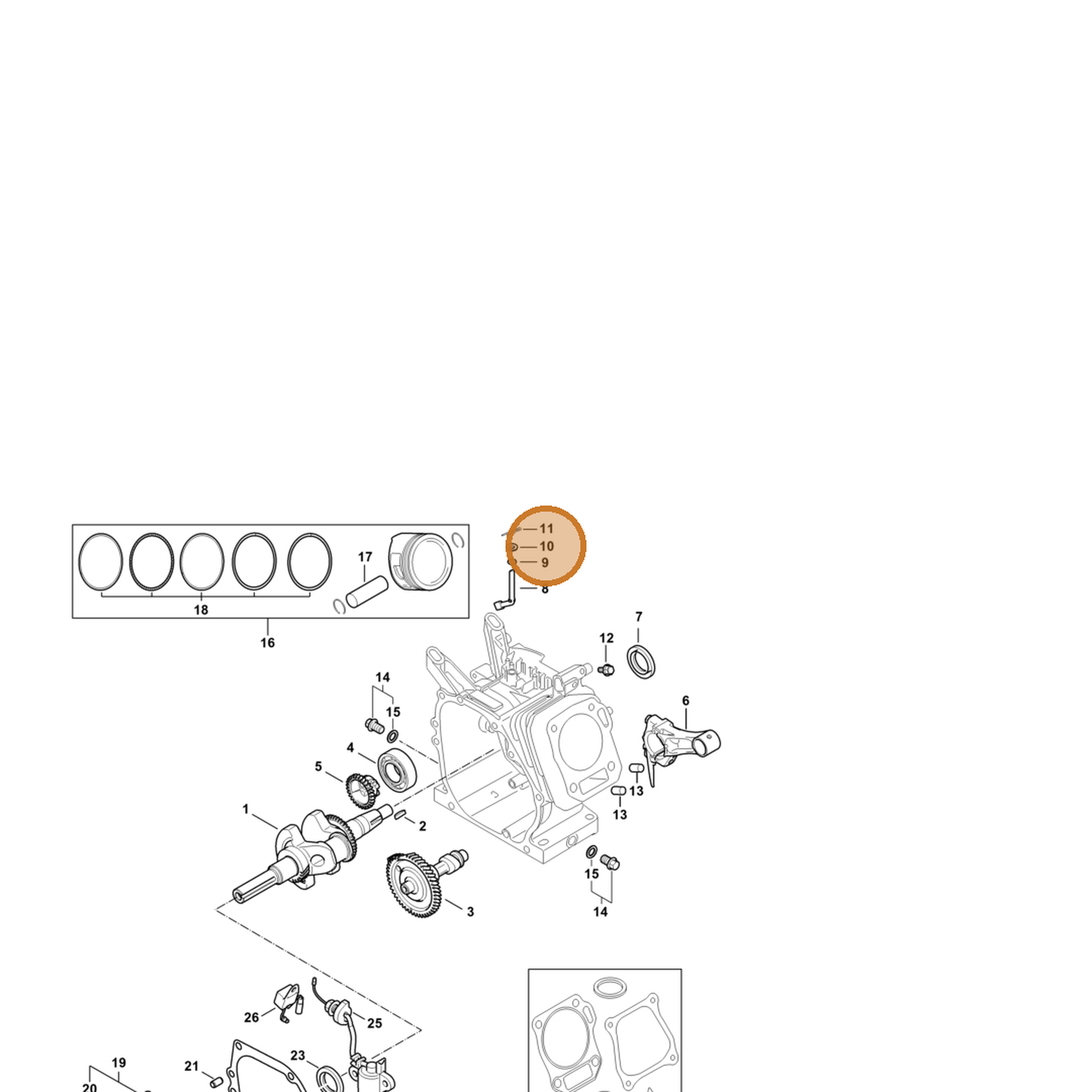 STIHL part 4789-036-0300 — IPL diagram snippet (6x zoom, amber highlight)