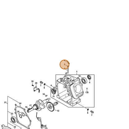 STIHL part 4791-036-0300 — IPL diagram snippet (6x zoom, amber highlight)