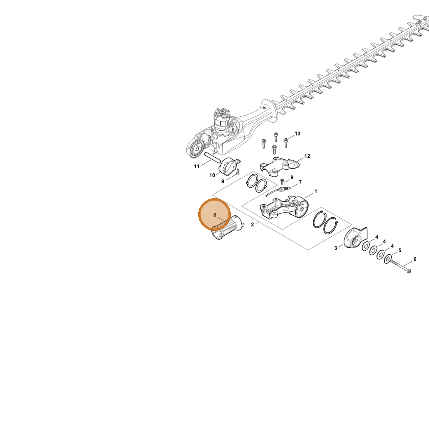 STIHL part 4859-641-5501 — IPL diagram snippet (6x zoom, amber highlight)