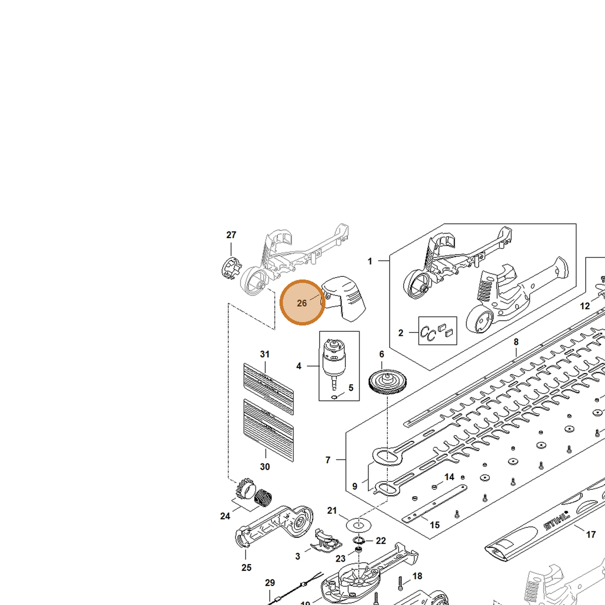 STIHL part HA01-433-1600 — IPL diagram snippet (6x zoom, amber highlight)