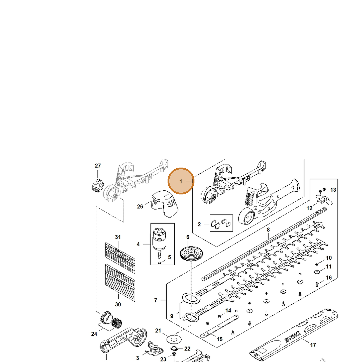 STIHL part HA01-600-0801 — IPL diagram snippet (6x zoom, amber highlight)