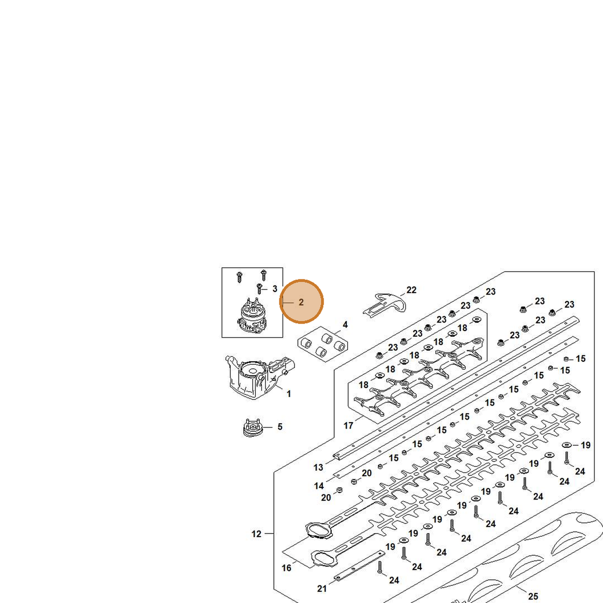 STIHL part HA07-600-0202 — IPL diagram snippet (6x zoom, amber highlight)