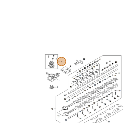 STIHL part HA07-600-0202 — IPL diagram snippet (6x zoom, amber highlight)